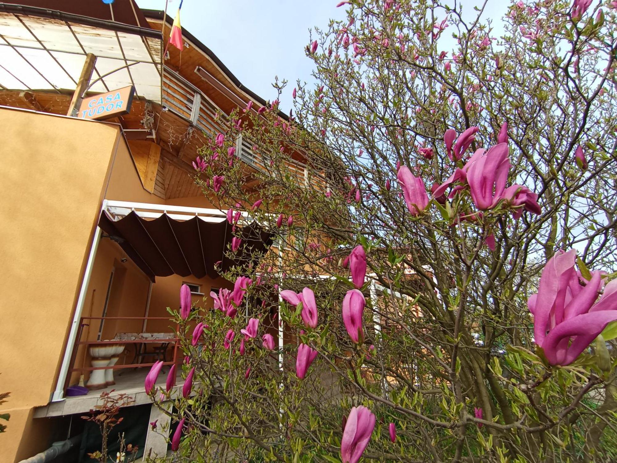 Casa Tudor トゥルダ エクステリア 写真